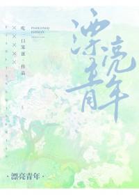 误入官场简介