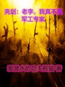 偷香高手无删减完整版