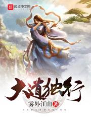 红尘不负沈易风免费阅读