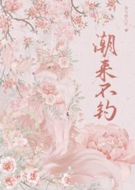 风月都市后宫录完整版