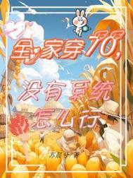 扶摇直上全集