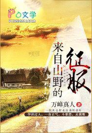 情为何物歌词