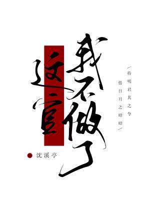 名媛圈张宇最新章节更新时间